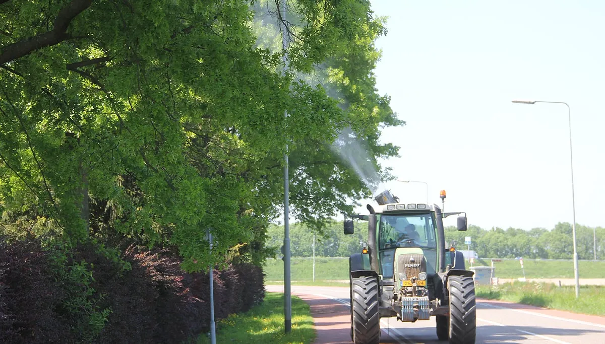 eikenprocessierupsenbestrijding eik rups processie