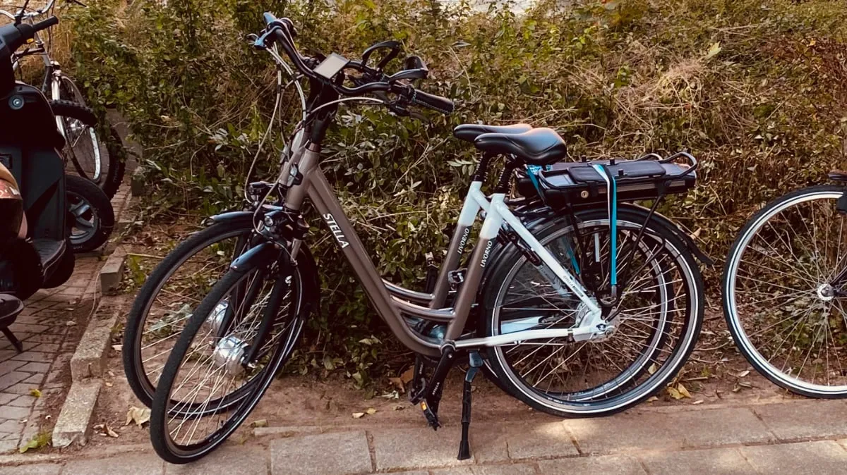 elektrische fietsen