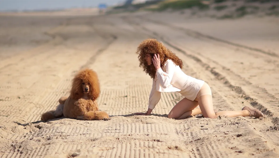 emilykocken comegostay 2015 westenchgallary