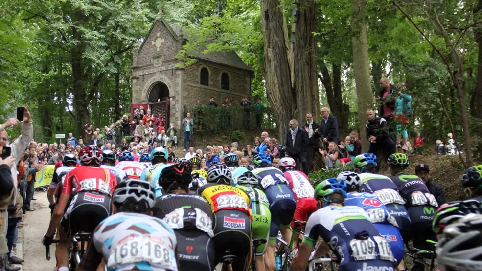 eneco kollenberg rosakapel