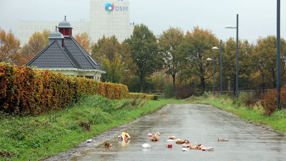 enzqr94sp54kmob2sd5pt6v6y zwerfafval zwerfvuil macdonalds 1