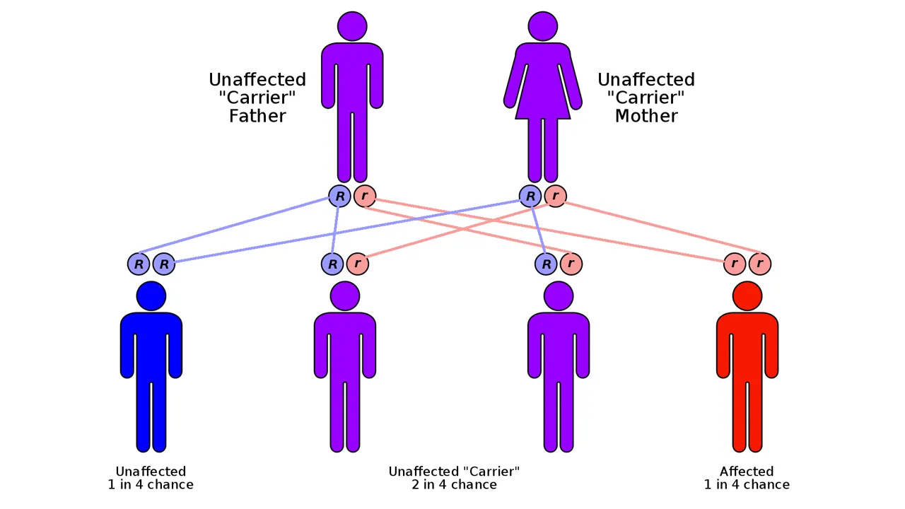 erfelijke aandoeningen