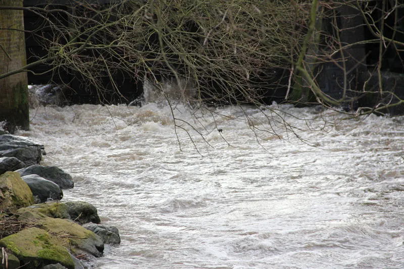 erh72ss3s35gux92jm4omz758 109700