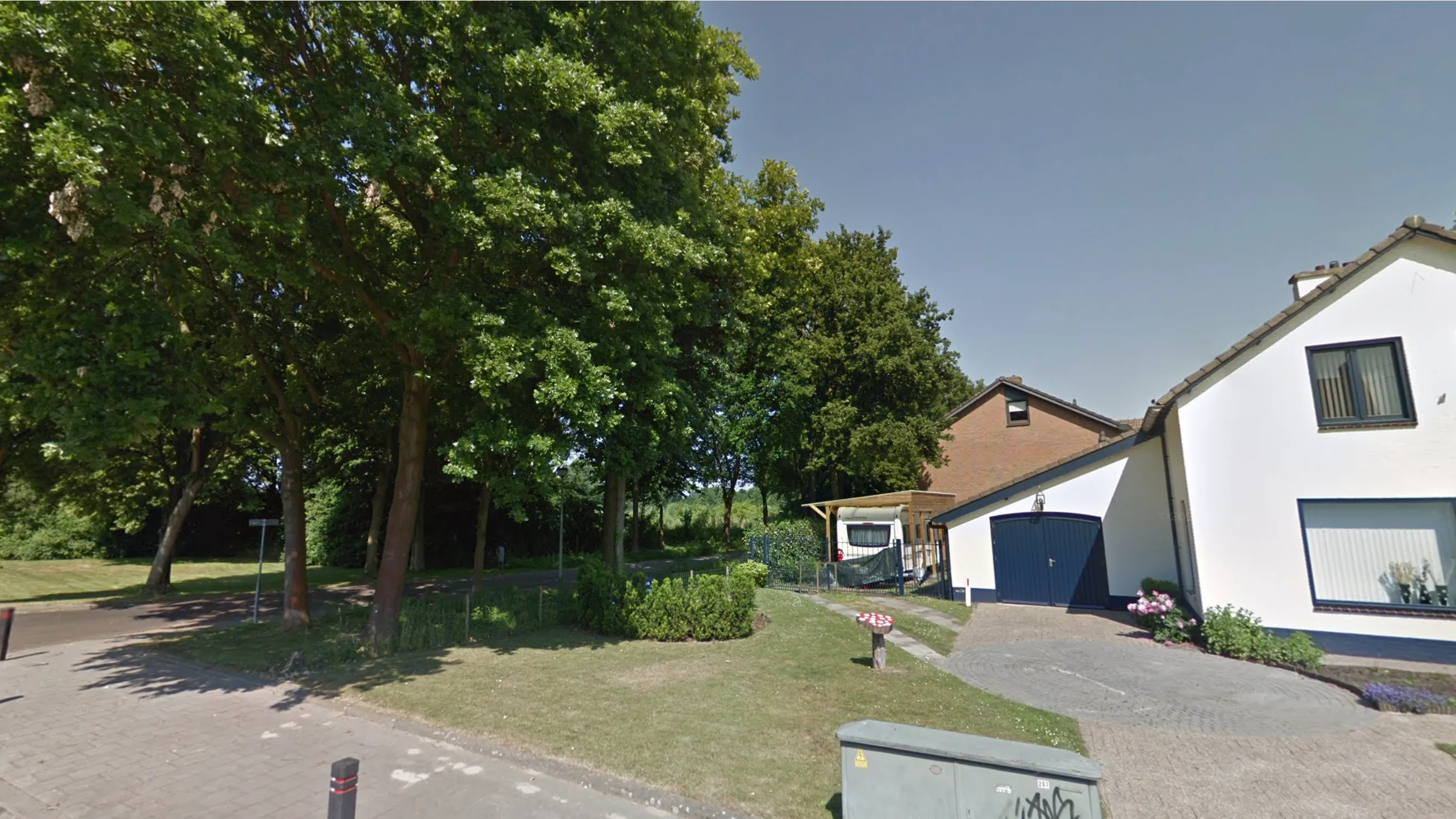 esdoorns in schipperskerk ziek 2021