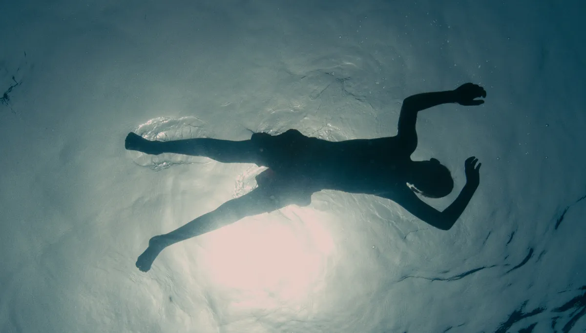 evolution stills 000002lesfilmsduworso potemkinefilms