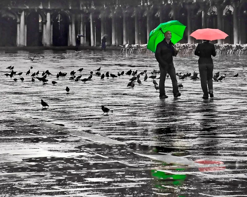 f357aftq1ztzxueolayqipikg 118857