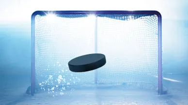 f4df7tq4nptjq6dgap8bunxme ijshockey00