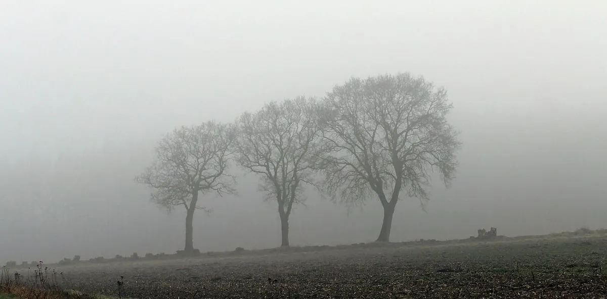 fog 370527 1280 mist