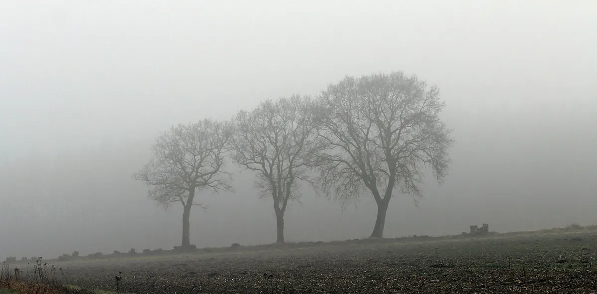 fog 370527 1280 mist