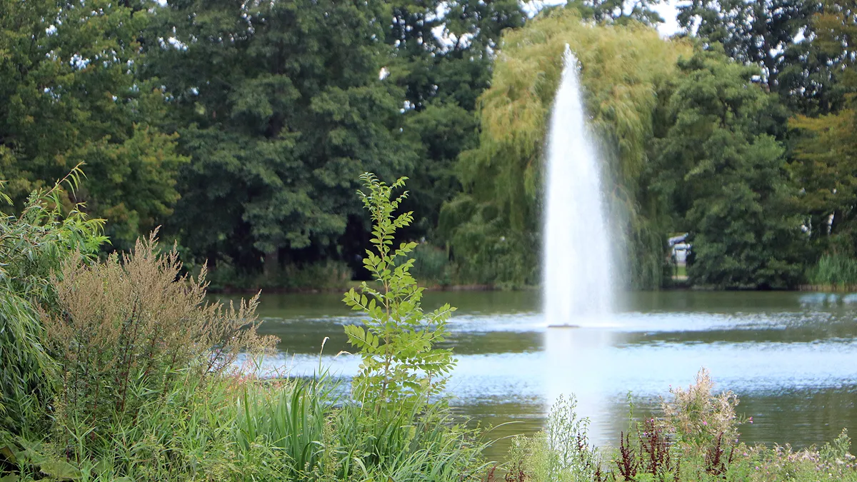 fontein roeivijver augustus 2020