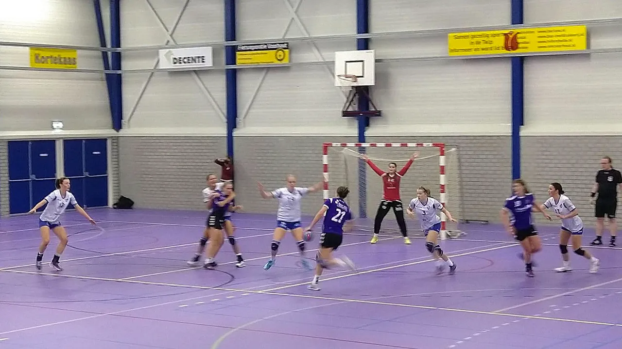 foreholte geonius vl
