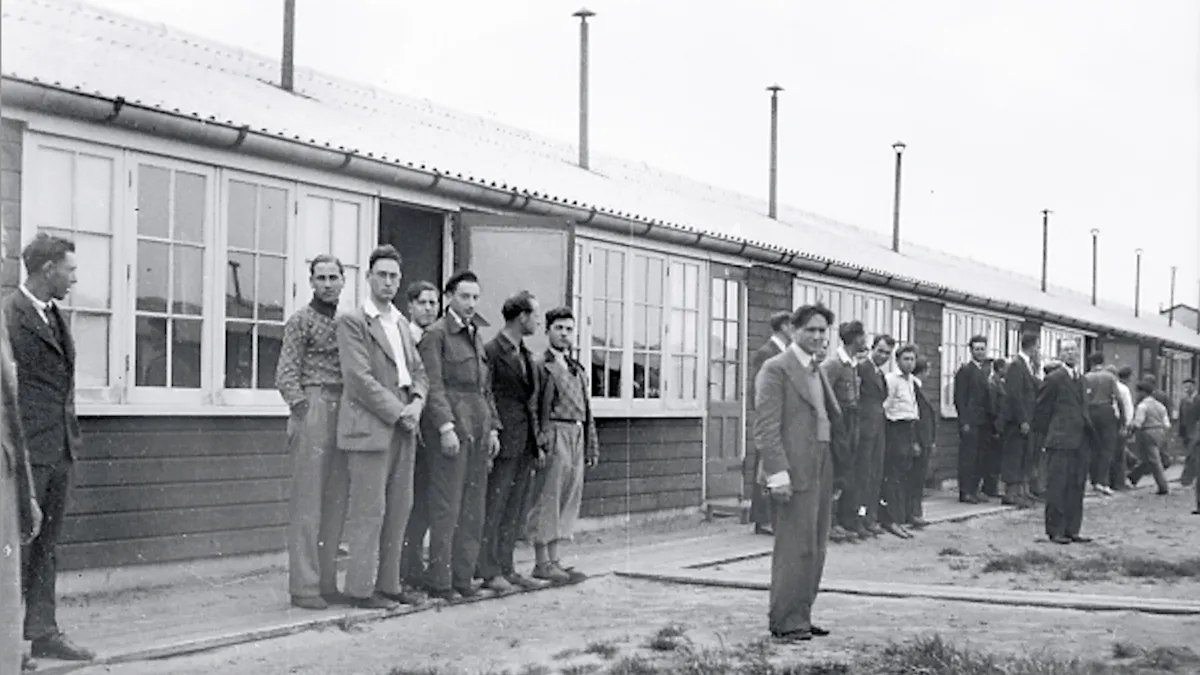 foto bij voorstelling van lion tokkie