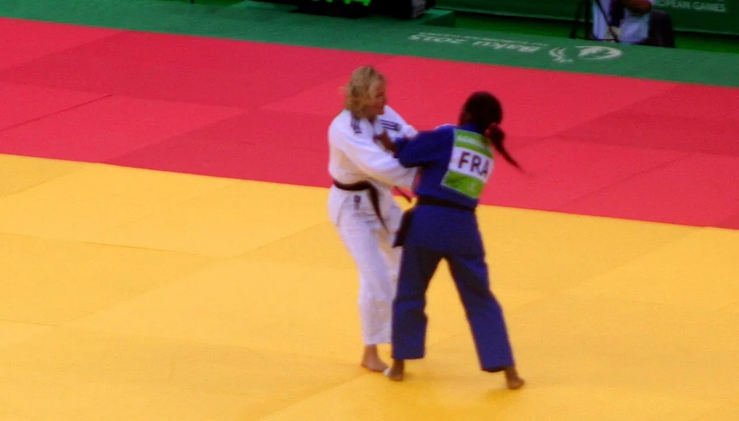 franssen vs agbegneno interfase cc by sa 40 via wikimedia commons