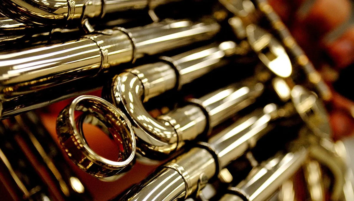 french horn hoorn sadie hernandez cc by 20