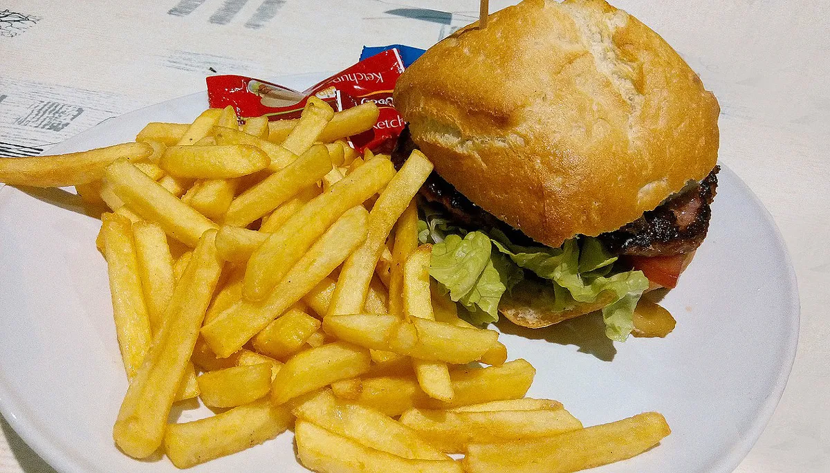 ftiet met hamburger 1140824 1280