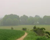 g5va0g5d3optgng2a7qu8iik2 144793