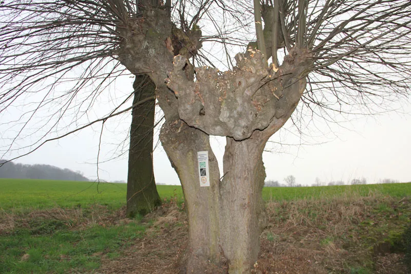 g7teb7ofwoo45h77wl22vpzty 129382