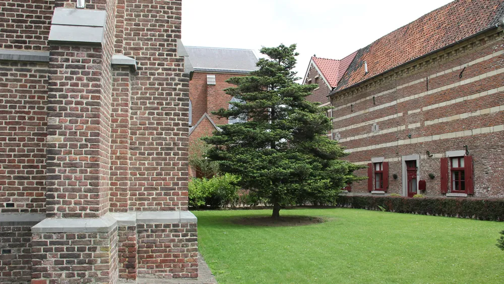 gds1flbhmz8hm4lmrpdb2t7ov oud geleen 06 16 9