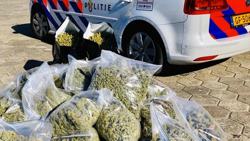 gedroogde henneptoppen handelscentrum bergerweg