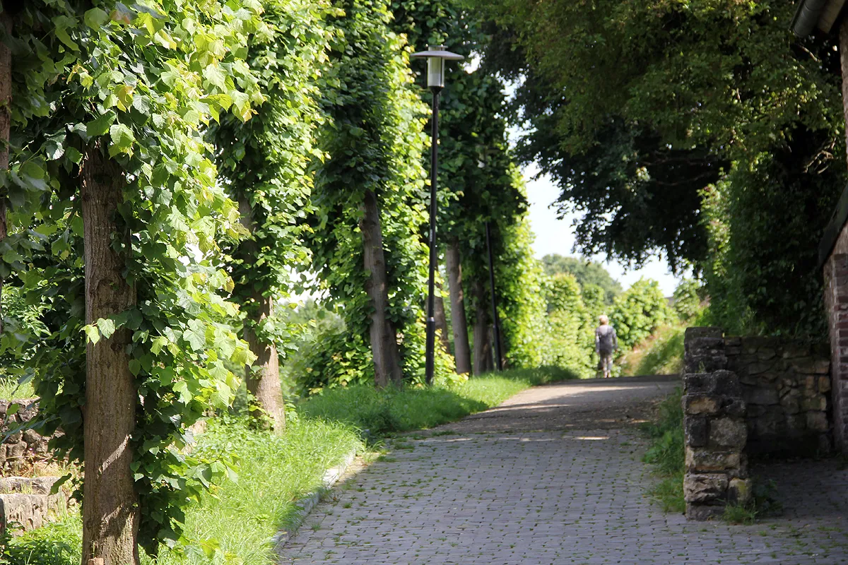 geheime tuinen 2016 02 wal fort sanderbout