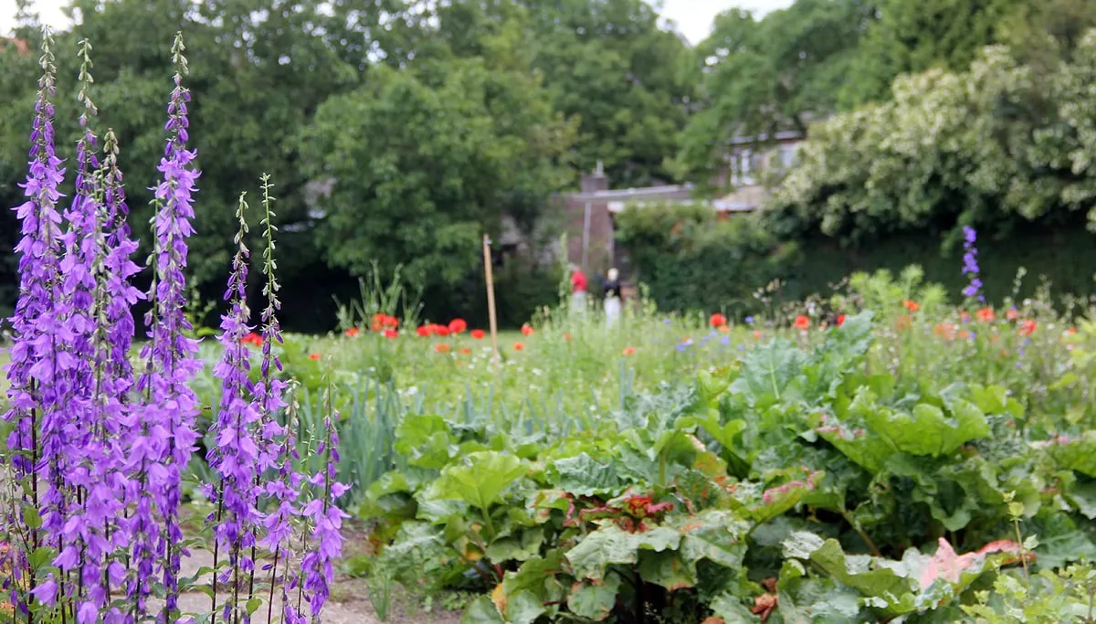 geheime tuinen agnetenberg