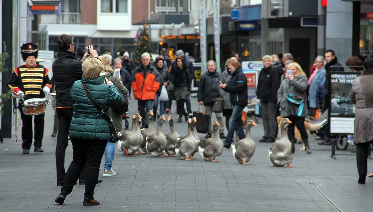 geleen loves london 2016 3