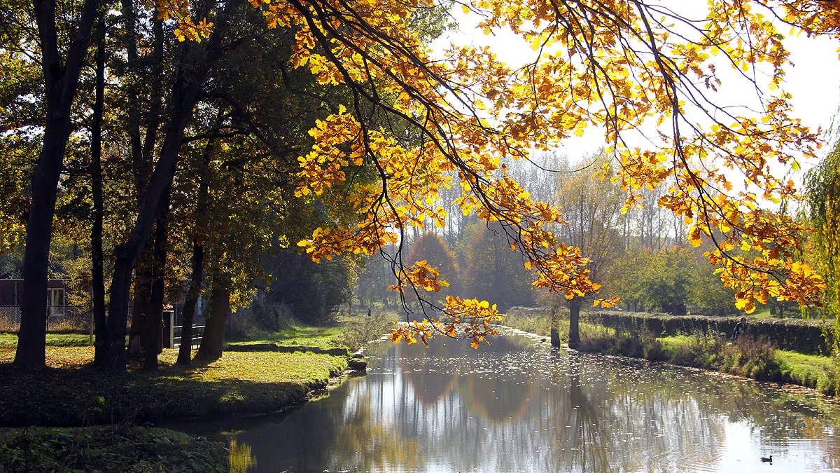 geleenbeekdal beek tussen middenweg en ophovenermolen