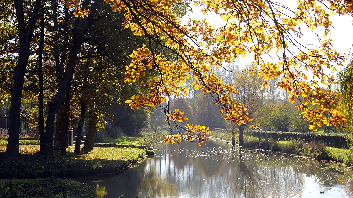 geleenbeekdal beek tussen middenweg en ophovenermolen