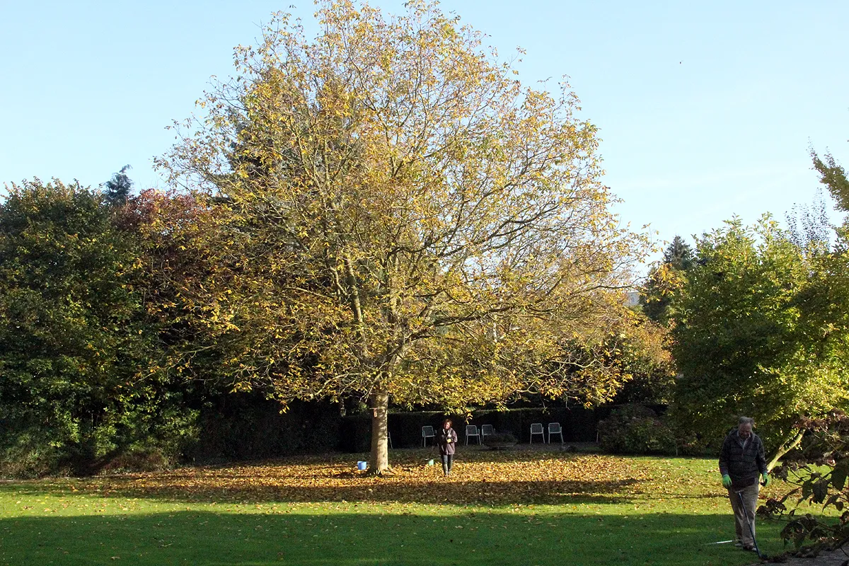 gereedschap geheime tuinen 3