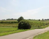 gjhgoxj7z41kucan5e10b9ypu 158186