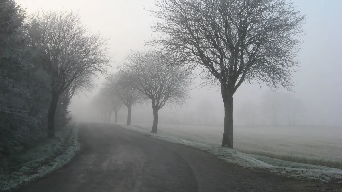 gladde weg door opvriezing pexels rene asmussen 334030