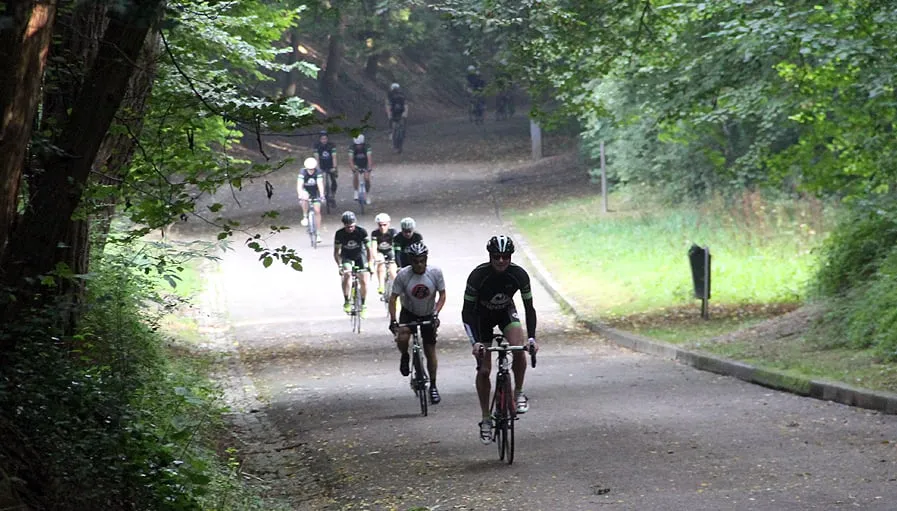 gladiolen 2016 kollenberg