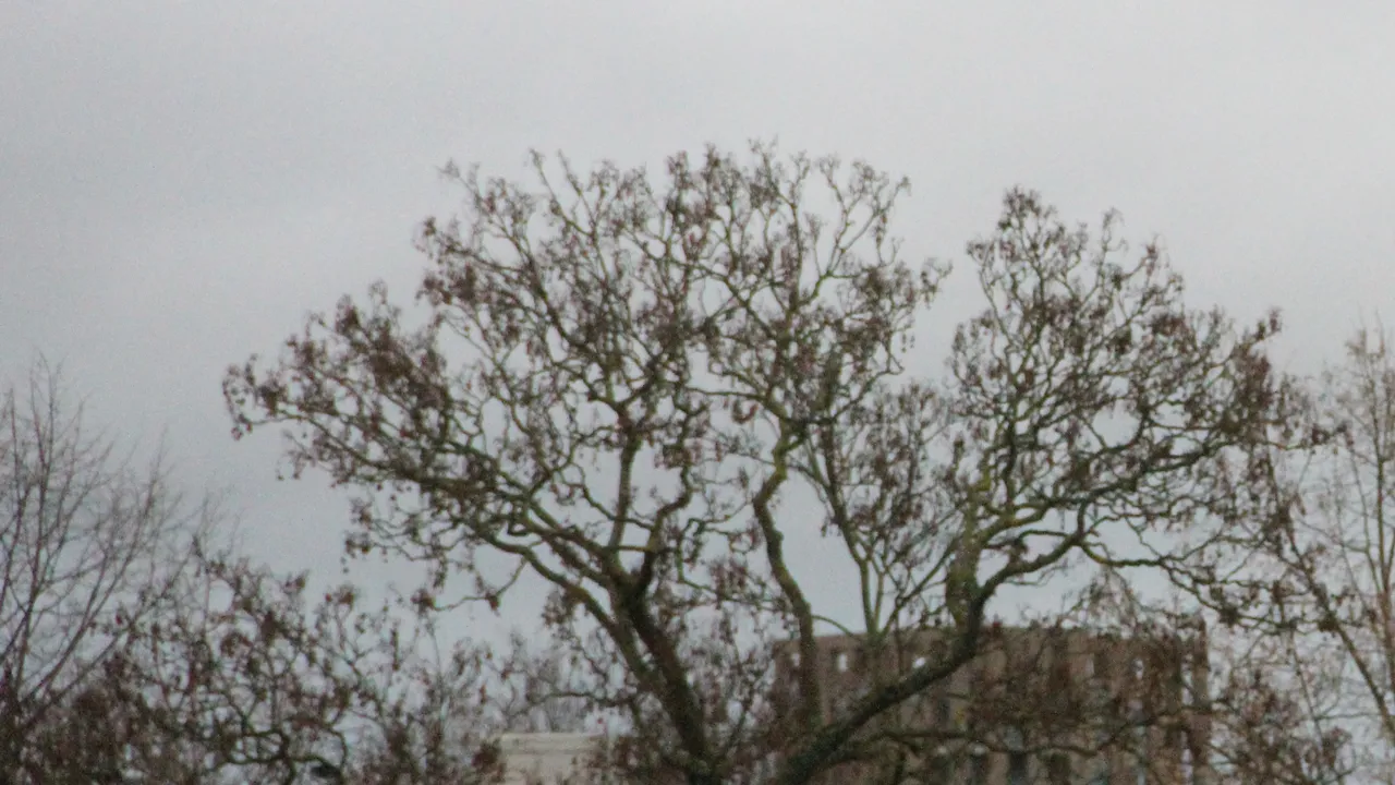 grijs grauw kil weer