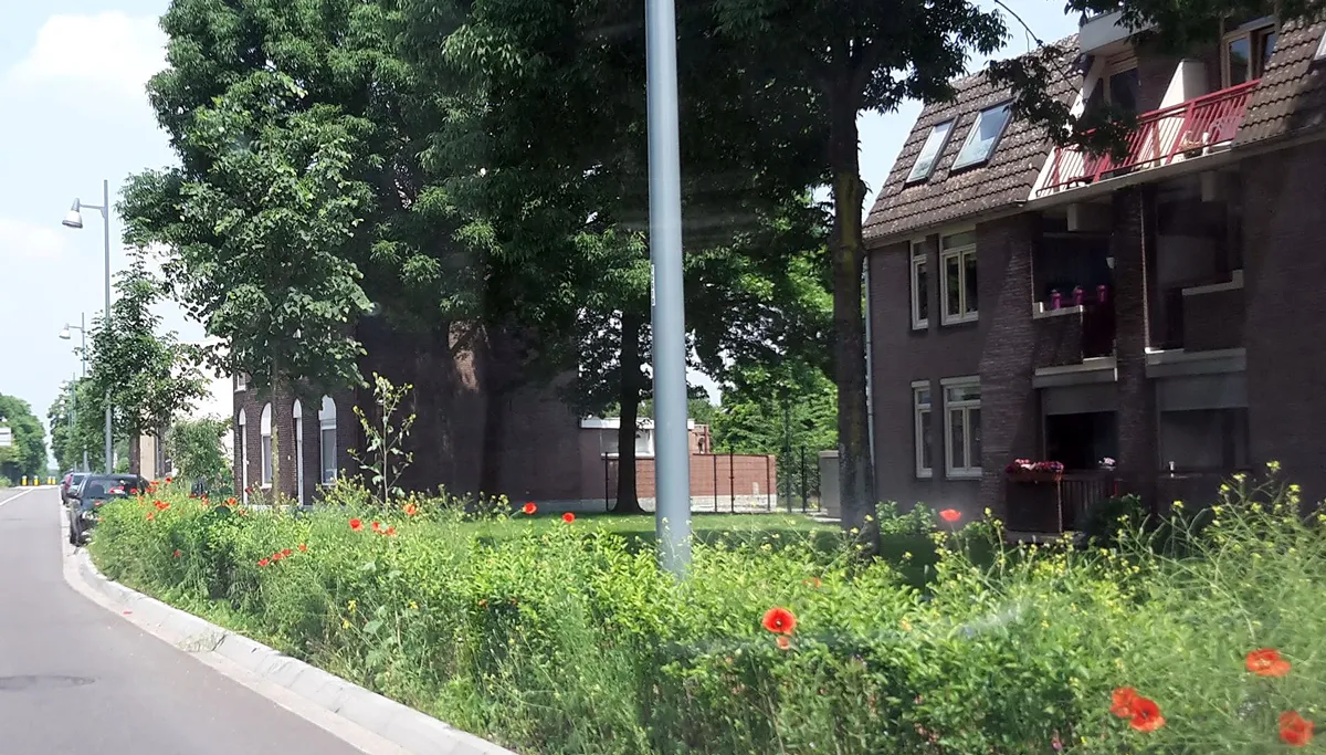 groen langs de weg bij rotonde de wissel in sittard