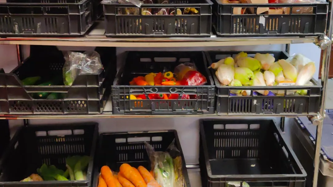 groenten en fruit evzg