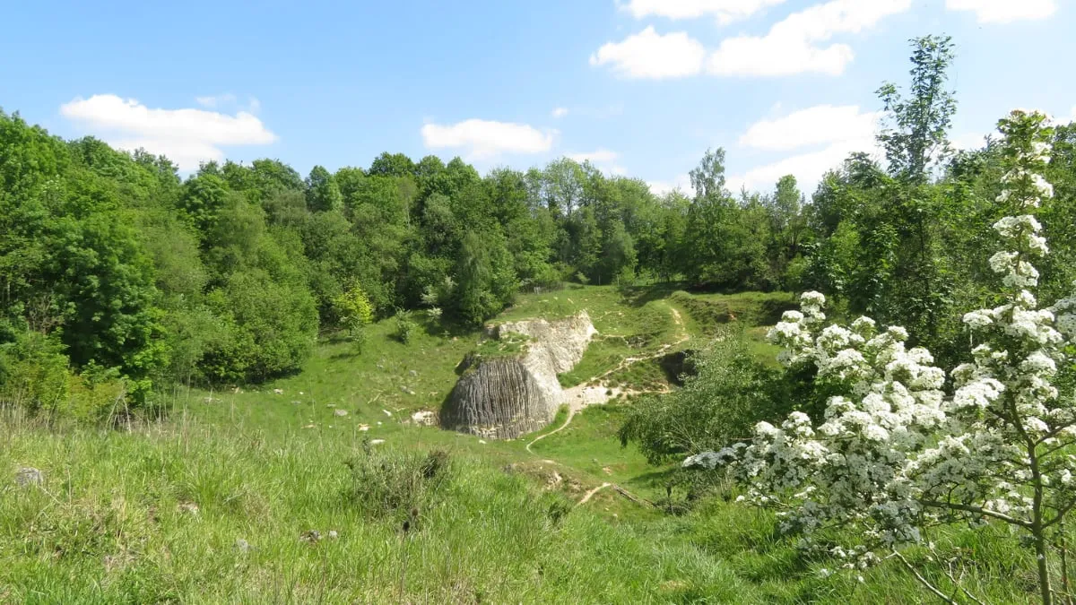 groeve blom img 5247 wilfred alblas 1