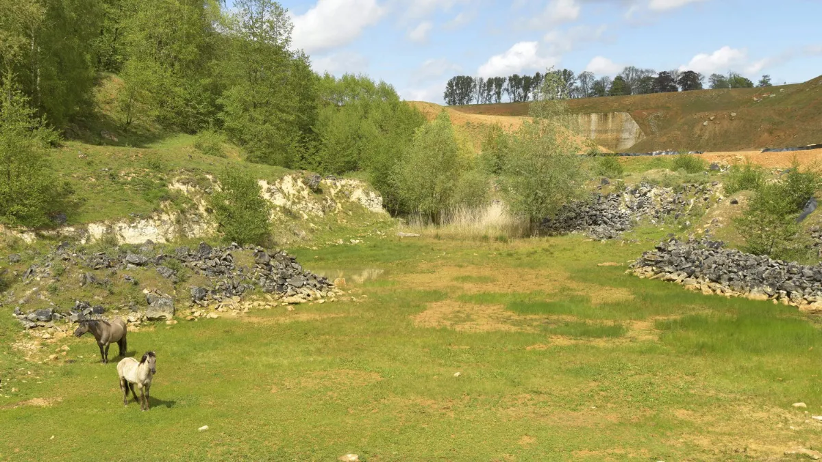 groeve t rooth henkheijligers hli0242