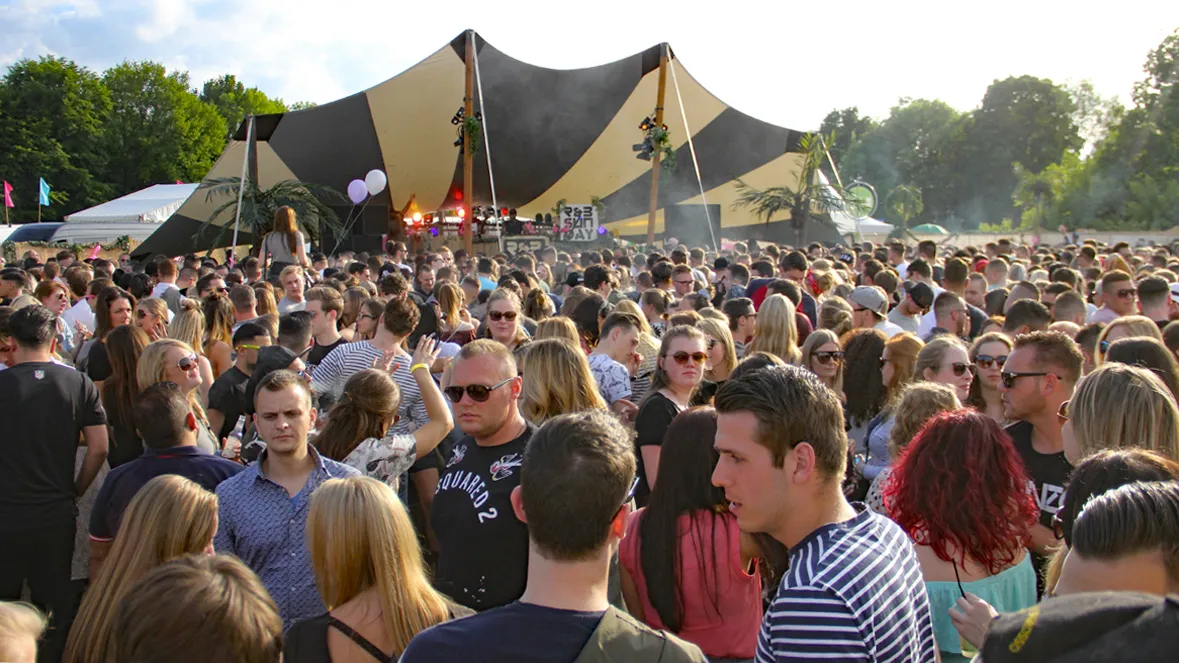 groove garden archiefoto