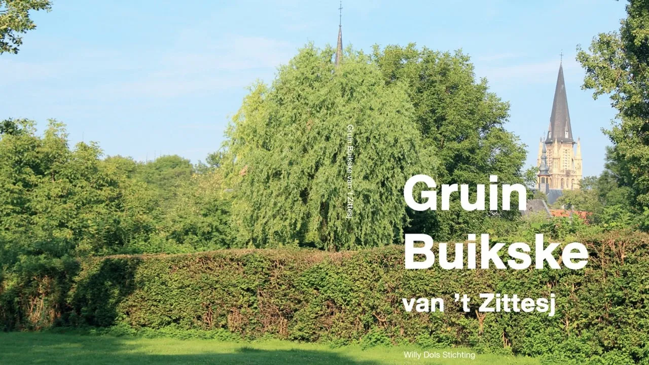 gruin buikske van t zittesj