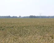 gtmolefzlgsfepgapek4311rf 72297