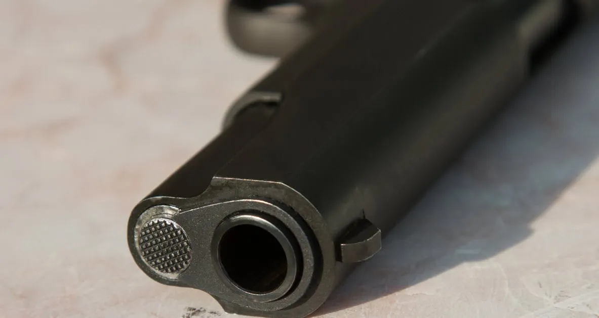 gun wapen cc0 via pexels