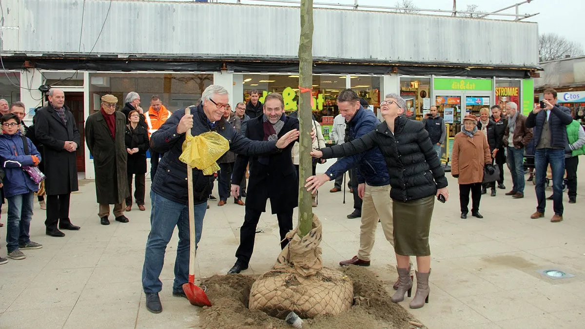 gx2i09spn87ez2zgincmr6yl5 zuidhof boom geplant