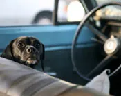 h2gem4twaut3yedtt29mr98cs 160284