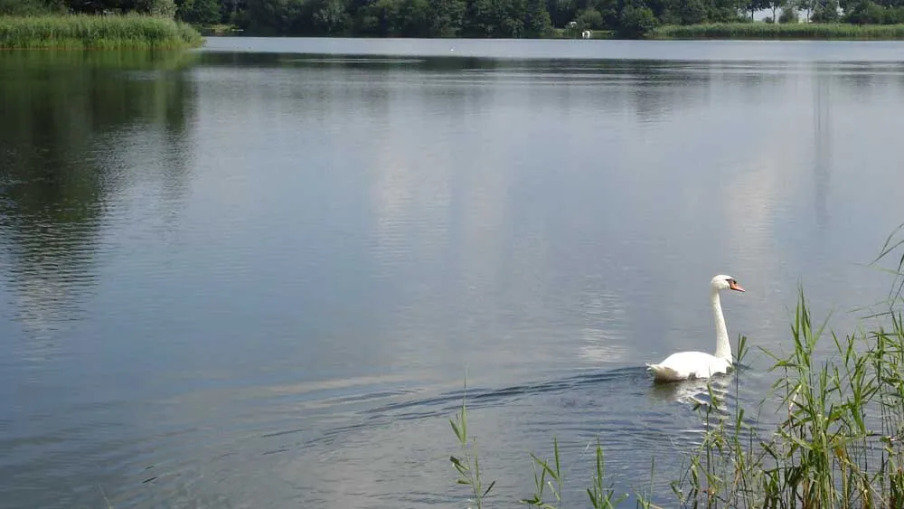 h79ci3sfzj2rvygkz1egysp4v zwemwater