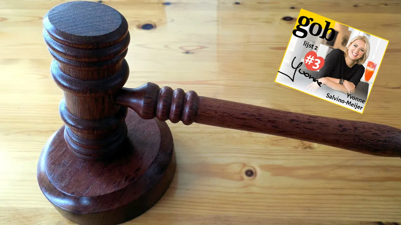 hamer voorzitter gob yvonne salvino