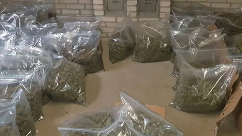 hennep op zolder in sitttard