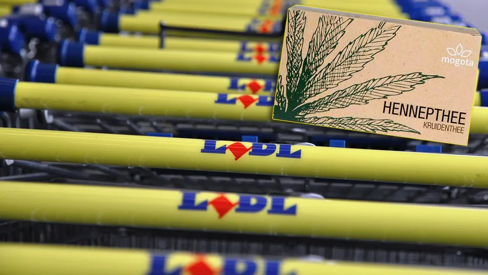 hennepthee en lidl karretjes by onderwijsgek own work cc by sa 30