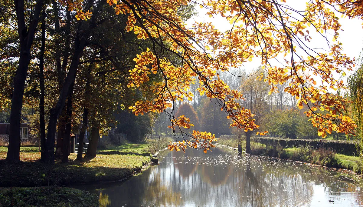 herfst 2016 beekdal sittard