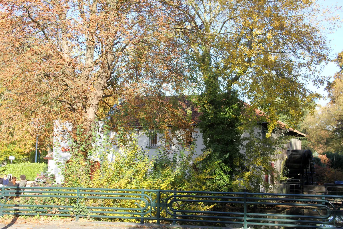 herfst 2016 molen park