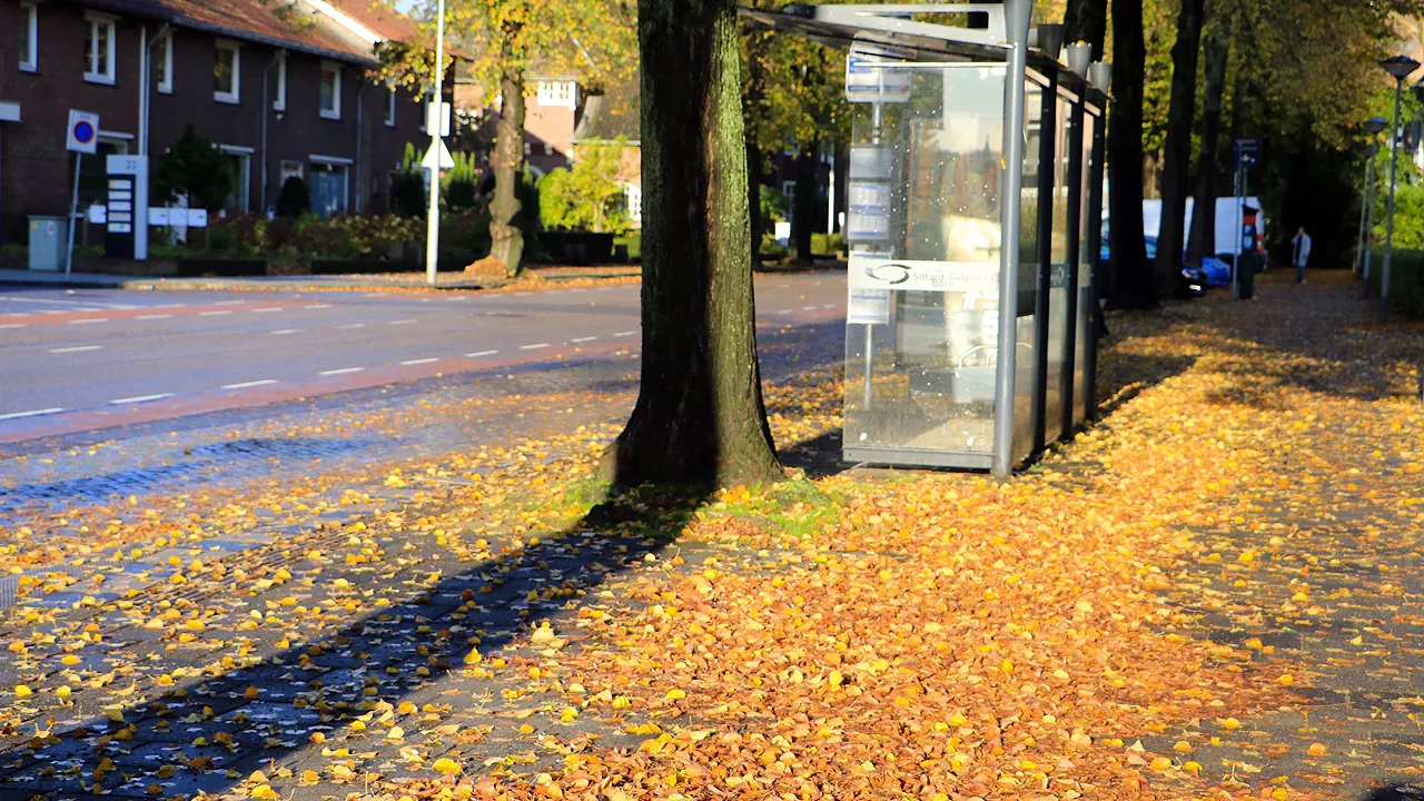 herfst 2019